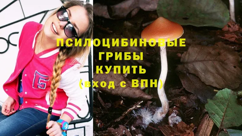 Галлюциногенные грибы Psilocybine cubensis  где купить наркотик  Куровское 